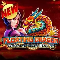 Dragon Year of the Snake