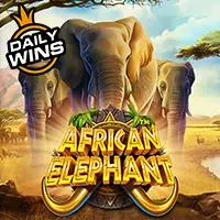 African Elephant