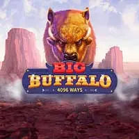 Big Buffalo